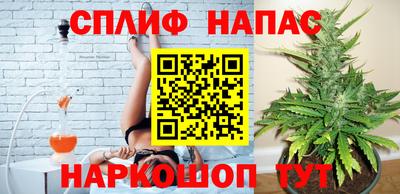 гидра Гагарин