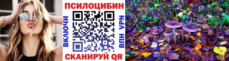 omg ONION Касимов Галлюциногенные грибы ЛСД