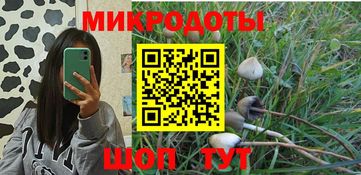 Псилоцибиновые грибы Magic Shrooms  Псилоцибиновые грибы Magic Shrooms  Вход с VPN  Касимов 