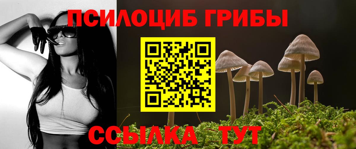 Галлюциногенные грибы прущие грибы Касимов